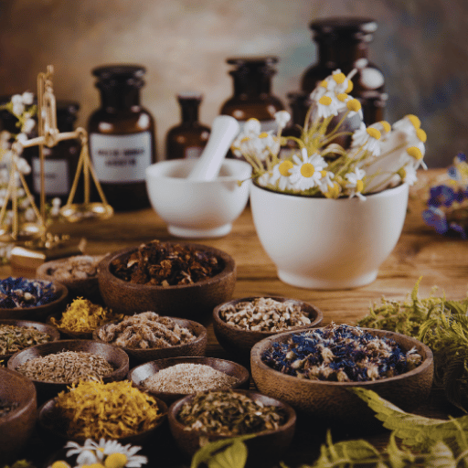 Women's Wellness