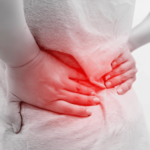 What Causes Lower Back Pain? A Dual View from Western Medicine and TCM