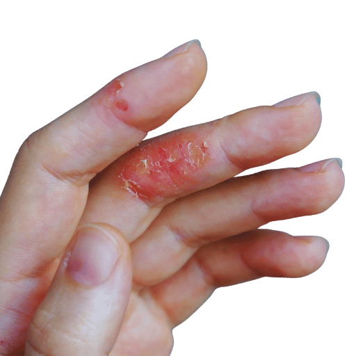 How to Choose a Qualified TCM Practitioner — 8 Questions to Ask Before You Book