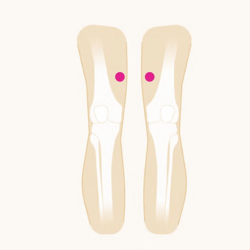 How Acupuncture May Affect Weight — The 4-Axis Model