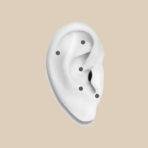 Ear Seeds Wear Schedule + Appetite Log Template