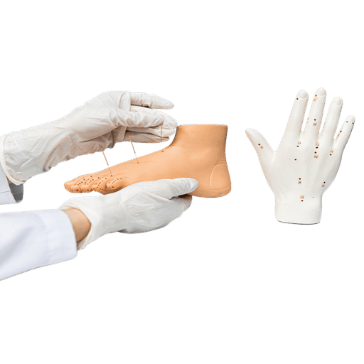 Acupressure vs. Acupuncture: Which Is Right for You?