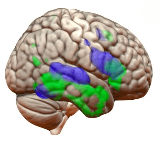 What the Research Actually Says: Evidence, Limits, and Honest Caveats
