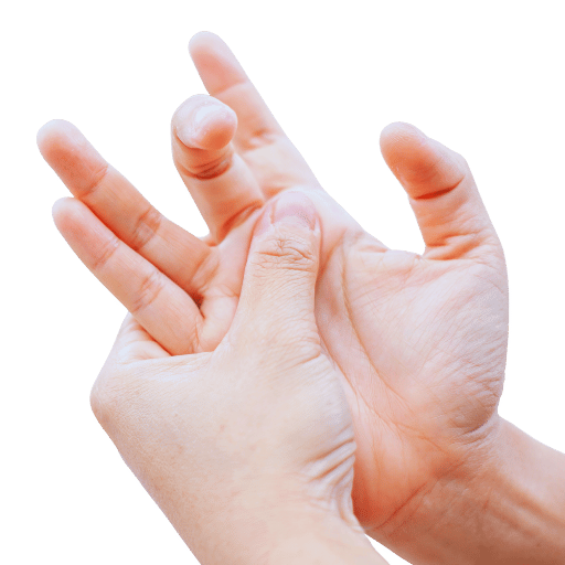 Recovery Timeline and Prevention — Long-Term Tendon Health