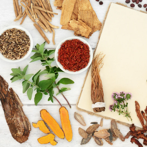 Treatment Options: From Conservative to Integrative Approaches