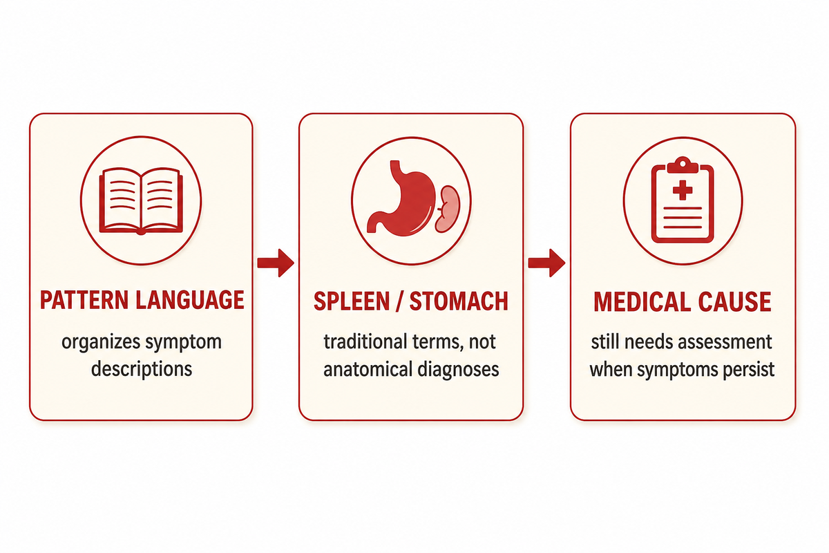 What does TCM mean by a digestive pattern? — Tong Ren Tang