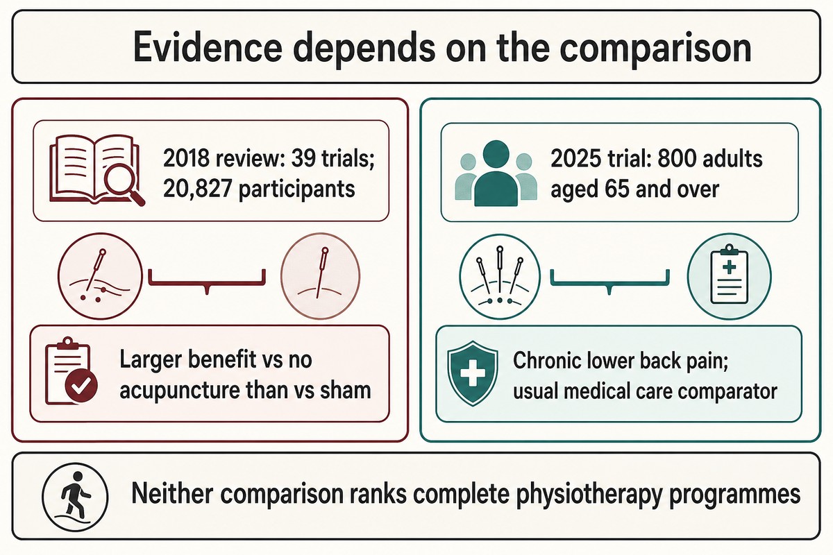 2018 and 2025 acupuncture studies use different comparators, not complete physiotherapy (Vickers; DeBar).