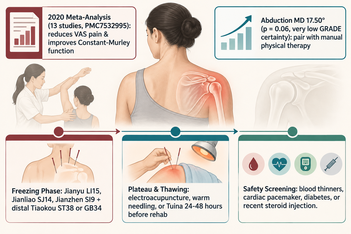 2020 meta-analysis of 13 studies: acupuncture with rehab reduces VAS pain and improves Constant-Murley function (PMC7532995).